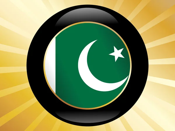 Icône avec drapeau pakistanais — Image vectorielle