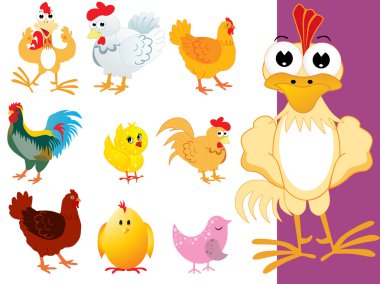 Vector collection of colorful bird clipart