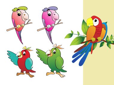 Vector collection of parrot clipart