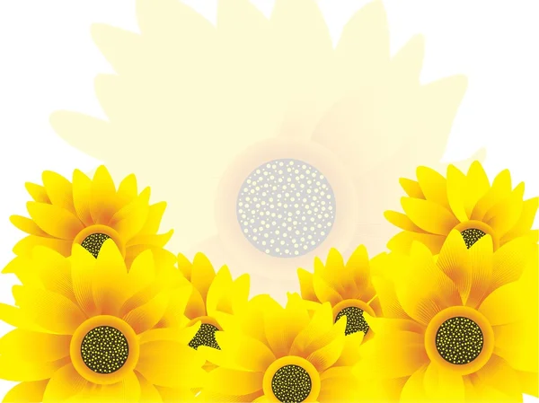 Nice sunflowers yellow vector — Stock Vector