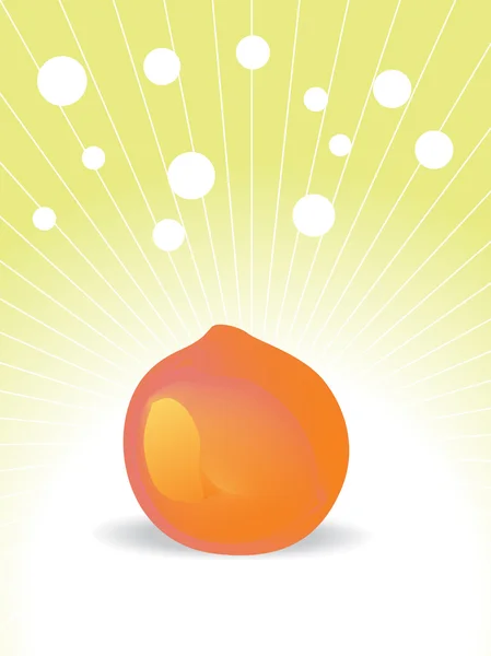 Orange vector illustration — Stockvector