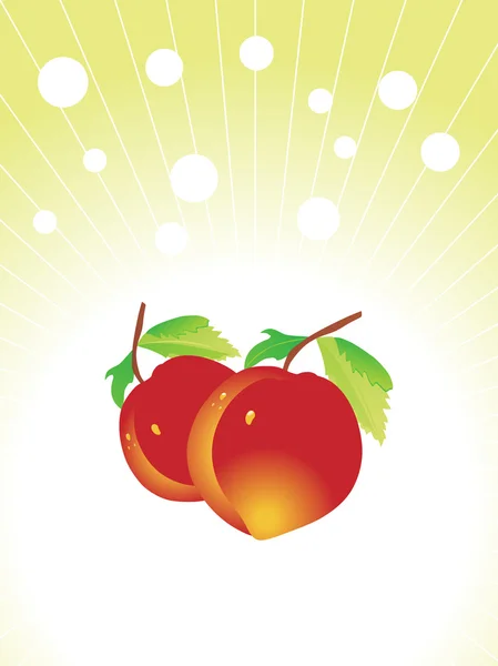 Pomegranate vector illustration — Stock Vector