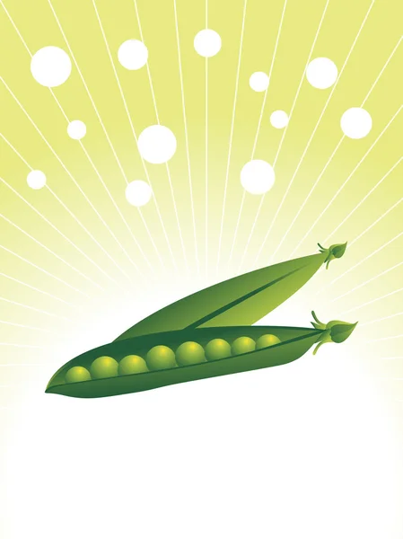 关于绿色豌豆 isoladed — 图库矢量图片