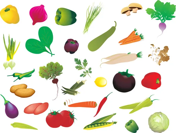 Set di verdure fresche — Vettoriale Stock