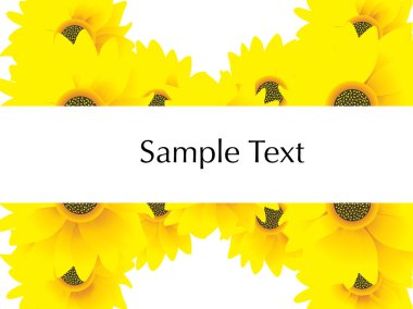 Sunflowers and sample text, vector clipart