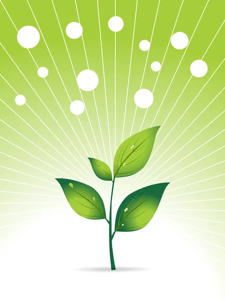 Grönt växtbaserade blad och dimma — Stock vektor