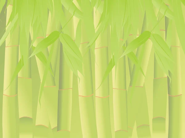 Vector, groene bamboe met haar blad — Stockvector