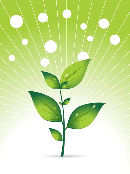 Vektor, grönt växtbaserade blad och dimma — Stock vektor