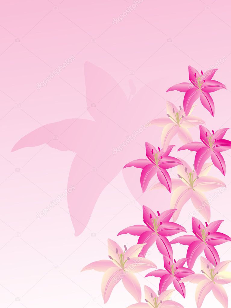 Vector wallpaper of lily flower Stock Vector Image by ©alliesinteract
