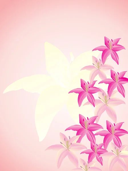 Vectorillustratie van lily bloem — Stockvector