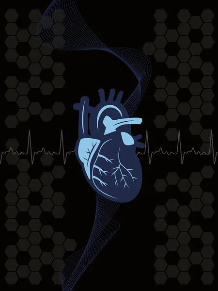 Bakgrund med heartbeat och mänskliga hjärtat — Stock vektor