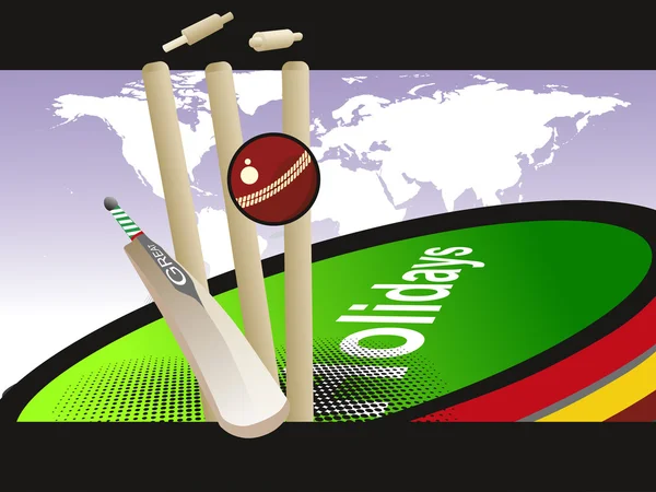 Vector illustration of cricket background — Stock Vector