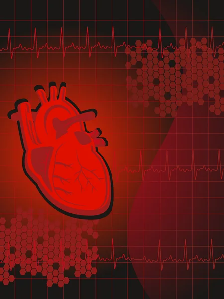 Κηρήθρα, κτύπο της καρδιάς φόντο με την ανθρώπινη καρδιά — Διανυσματικό Αρχείο
