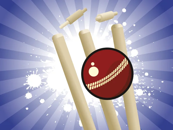 Grungy sfondo con elemento cricket — Vettoriale Stock