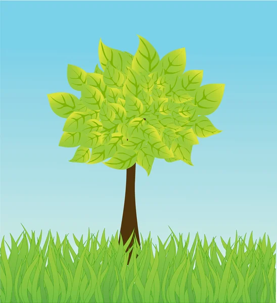 Vector summer background with tree and grass — Stock Vector