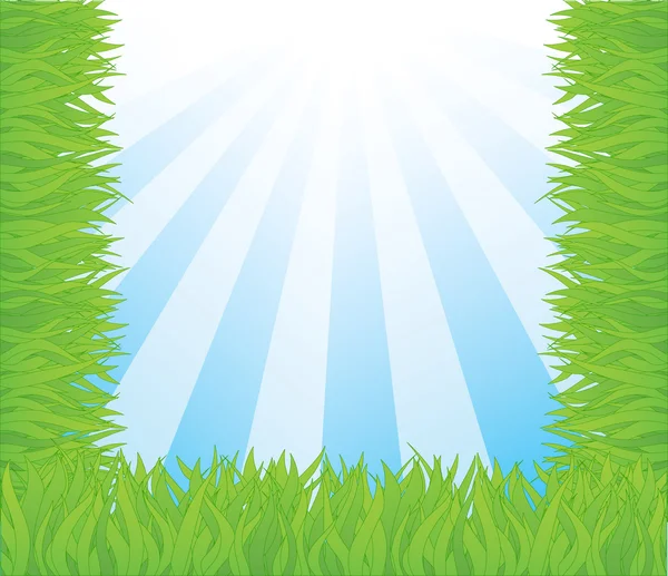 Summer vector background with grass — Stock Vector