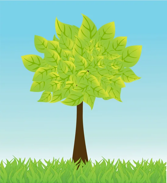 Vector summer background with tree and grass. — Stock Vector