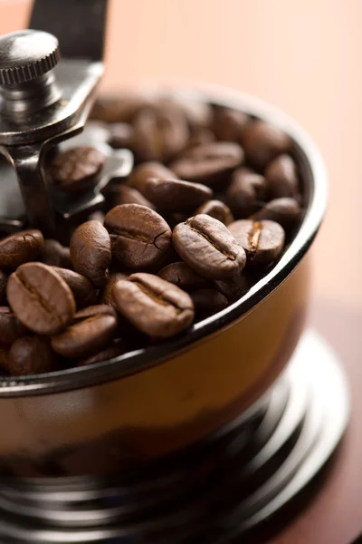 Roasted coffee beans in coffee grinder — Stock Photo, Image