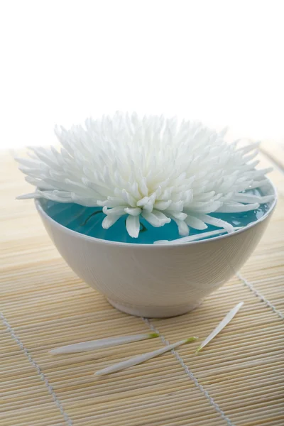 Fleur blanche flottant dans un bol — Photo