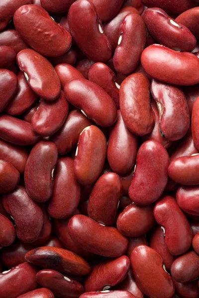 Red haricot beans background — Stock Photo, Image