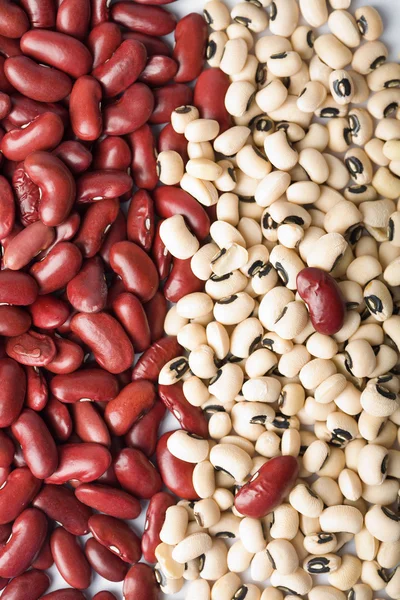 赤と白の白豆の背景 — ストック写真