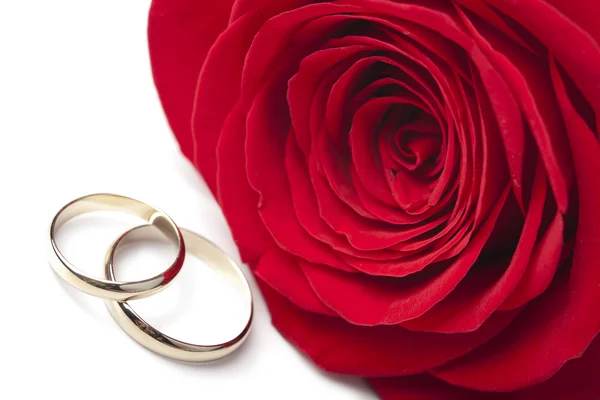 Anéis de casamento de ouro e rosa vermelha — Fotografia de Stock