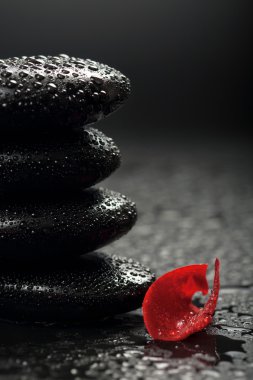 Zen stones and rose petals over black background clipart