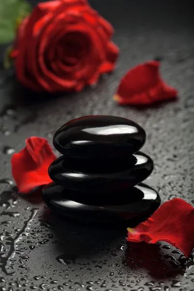 Дзен камни и лепестки роз на черном фоне — стоковое фото
