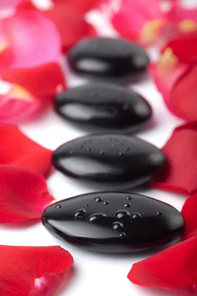Piedras Zen y pétalos de rosa aislados — Foto de Stock