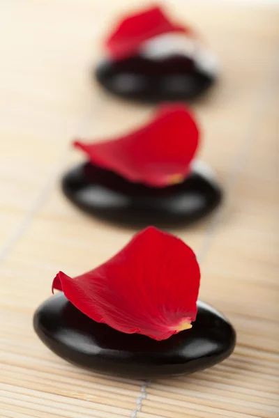 Zen kő és a rózsa szirmai — Stock Fotó
