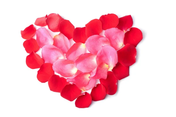 Serce czerwone płatki róż na białym tle — Zdjęcie stockowe