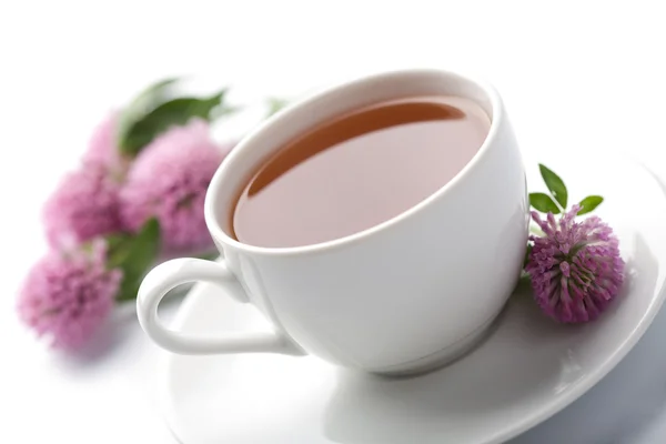 Xícara branca de chá de ervas e flores de trevo isola — Fotografia de Stock
