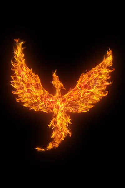 Burning phoenix isolated over black background — Stock Photo, Image