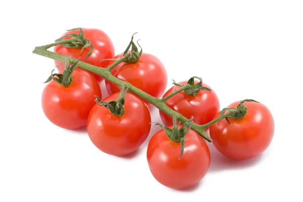 Tomates maduros isolados — Fotografia de Stock