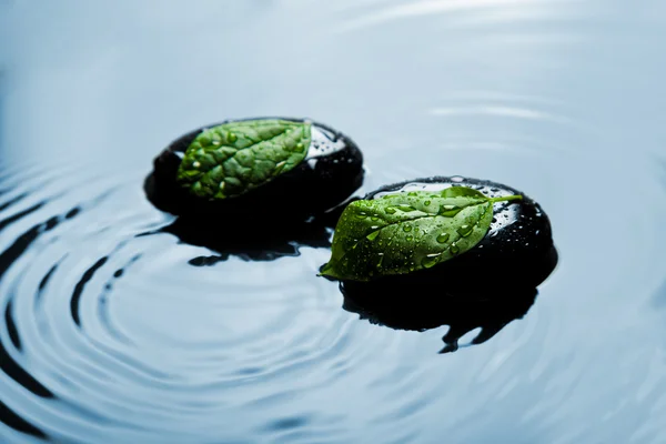 Zen pedras e folhas em água azul — Fotografia de Stock