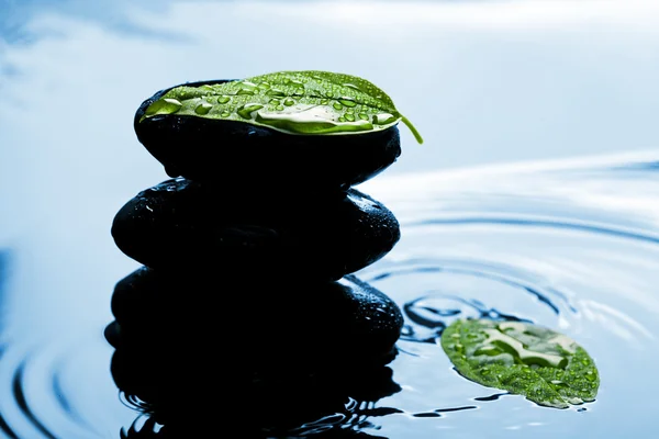 Piedras y hojas de zen en agua azul — Foto de Stock