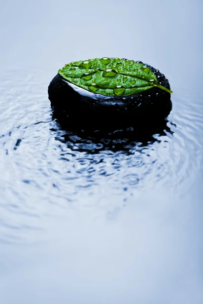 Zen stone en lea — Stockfoto
