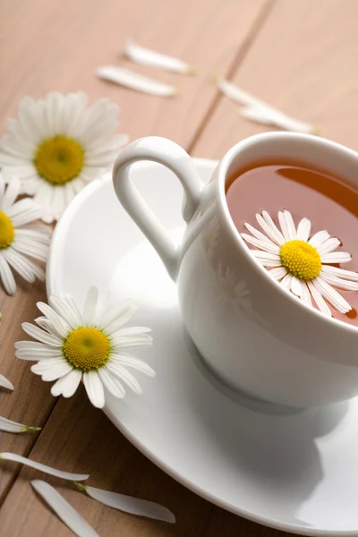 White cup of herbal tea and camomile flowers — Stock Photo, Image