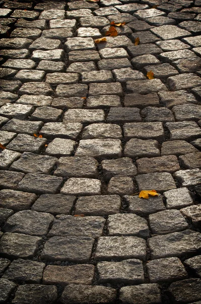 stock image Aged cobblestone roadway background