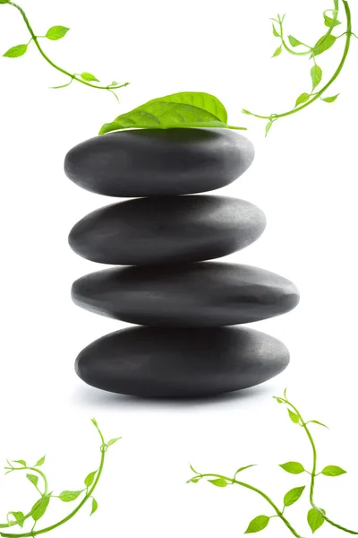 Zen stones with leaves isolated. spa background — Stock Photo, Image
