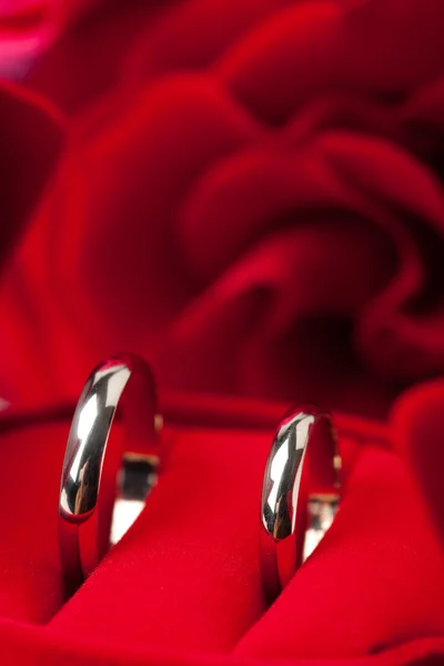 Anéis de casamento dourados e rosa vermelha — Fotografia de Stock