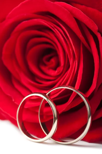 Zlaté snubní prsteny a červené růže, samostatný — Stock fotografie
