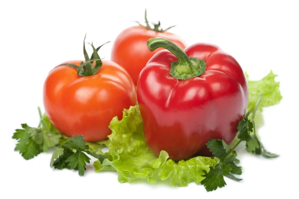 Buntes frisches Gemüse isoliert — Stockfoto