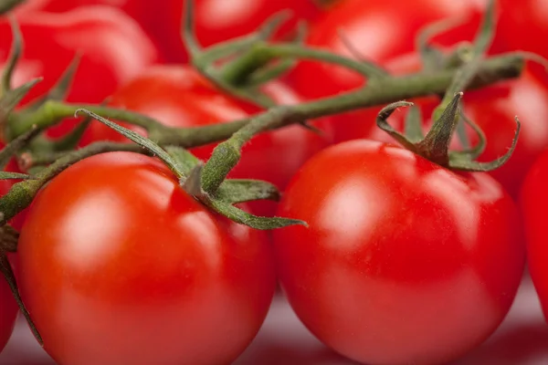 Maturare pomodori sfondo — Foto Stock
