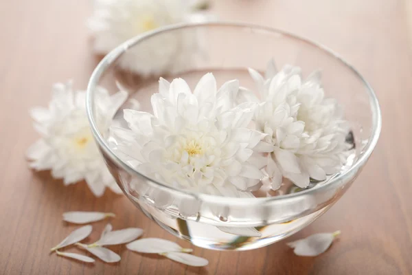 Witte bloemen zweven in kom. Spa achtergrond — Stockfoto