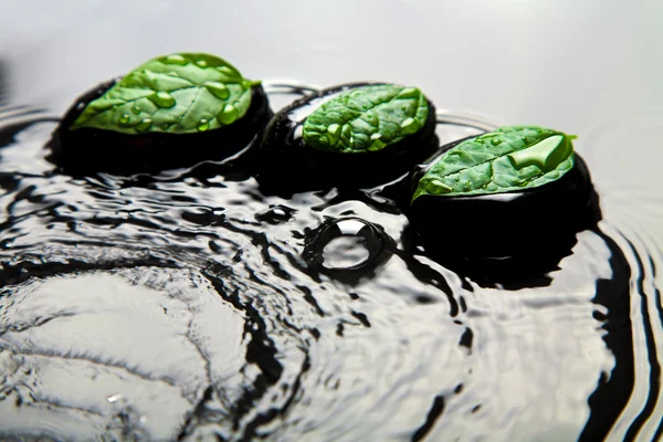 Дзен камни и листья в воде — стоковое фото