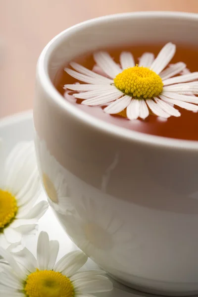 Taza blanca de té de hierbas y flores de manzanilla — Foto de Stock