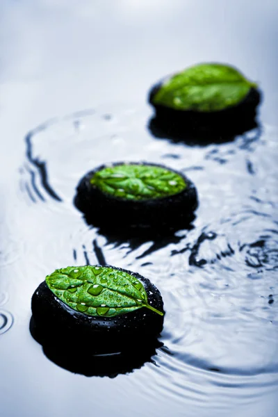 Zen pedras e folhas em água azul — Fotografia de Stock