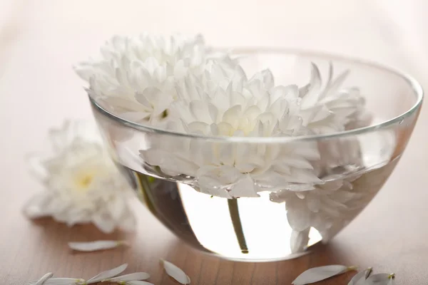 Flores blancas flotando en un tazón. fondo de spa — Foto de Stock