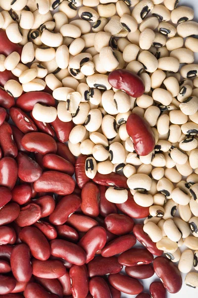 Red and white haricot beans background — Stock Photo, Image